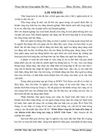 Hoàn thiện công tác kế toán tiền lương và các khoản trích theo lương tại Cty SONY Việt Nam