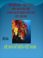 Hệ san hô biển Việt Nam