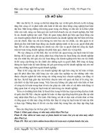 kế toán một số phần hành kế toán chủ yếu tại nhà máy nhiệt điện Phả Lại