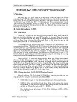 Dịch vụ điện thoại qua mạng IP 4