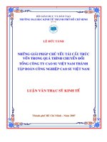 Những giải pháp chủ yếu tái cấu trúc vốn trong quá trình chuyển đổi Tổng CT cao su.pdf