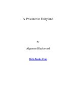 A Prisoner in Fairyland