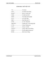 Hoàn thiện kế toán tiêu thụ hàng hóa và xác định kết quả tiêu thụ tại Công ty Thương Mại và Xuất Nhập Khẩu Viettel”