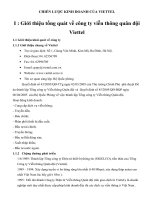 Chiến lược kinh doanh của Viettel