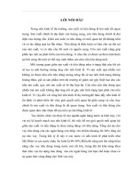 Thực trạng và giải pháp mở rộng tín dụng tiêu dùng tại Ngân hàng thương mại cổ phần kỹ thương Techcombank chi nhánh Đông Đô