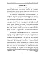 Hoàn thiện tổ chức công tác kế toán bán hàng và xác định kết quả bán hàng tại Nhà máy thuốc lá Thăng Long