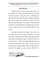 Một số giải pháp Marketing hỗn hợp trong kinh doanh thương mại ở công ty Vật tư VT.doc