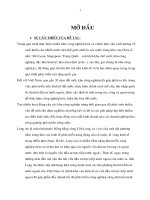 Phát triển các khu công nghiệp của tỉnh Long An đến năm 2010.pdf