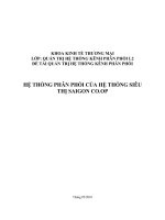 Hệ thống phân phối của hệ thống siêu thị saigon co.op