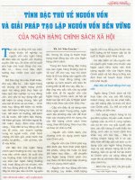 Tính đặc thù về nguồn vốn và giải pháp tạo lập nguồn vốn bền vững .pdf