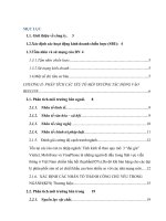 Phân tích chiến lược của Beeline