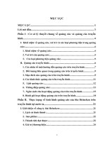 Nghiên cứu về quảng cáo bia Heineken trên kênh truyền hình VTV3 tại Việt Nam trong năm 2009