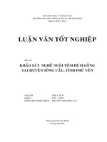 Khảo sát nghề nuôi tôm hùm lồng tại huyện Sông Cầu, tỉnh Phú Yên