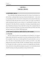 Thiết kế hệ thống cấp nước thị xã Châu Đốc