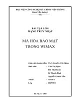 Mã hóa bảo mật trong Wimax