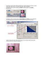 Làm hiệu ứng cho ảnh