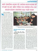 Môi trường kinh tế, chính sách kinh tế vĩ mô và sự bền vững tài chính