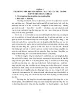 Định hướng và giải pháp phát triển thị trường tiêu thụ sản phẩm của Công ty Cao su Sao Vàng