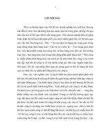 Hoàn thiện hệ thống kênh phân phối của công ty Cổ phần Dược phẩm Nam Hà