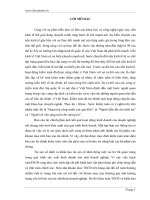 Quy trình kiểm toán khoản mục Tài sản cố định trong kiểm toán báo cáo tài chính.doc