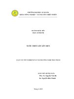 Nước thốt nốt lên men