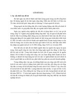 Một số giải pháp nhằm nâng cao hiệu quả của việc thu hút khách du lịch nội địa tại công ty du lịch dịch vụ Hà Nội