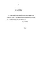 Hoạch định chiến lược thâm nhập thị trường thế giới cho sản phẩm chè của Việt Nam