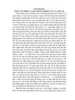 Hoạt động đảm bảo tiền vay bằng tài sản cầm cố, thế chấp của khách hàng vay tại sở giao dịch I- vietinbank