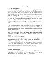  Một số biện pháp nhằm nâng cao hiệu quả sử dụng Vốn Cố Định tại Cty Du lịch - Dịch vụ Hồng Hà