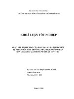  KHẢO SÁT ẢNH HƯỞNG CỦA BAP, NAA VÀ BA DỊCH CHIẾT TỰ NHIÊN ĐẾN SINH TRƯỞNG, PHÁT TRIỂN GIỐNG LAN REN (Renanthera sp.) TRONG NUÔI CẤY IN-VITRO