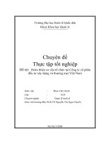 Hoàn thiện cơ cấu tổ chức tại Công ty cổ phần đầu tư xây dựng và thương mại Việt Nam 
