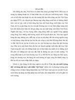 Một số biện pháp thúc đẩy hoạt động xuất khẩu sản phẩm gốm mỹ nghệ của công ty TNHH XNK Lửa Việt vào thị trường Hàn Quốc