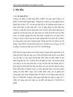 Phân tích tình hình tài chính công ty cổ phần cơ điện lạnh REE