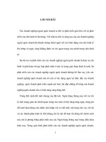 Giải pháp mở rộng tín dụng đối với các doanh nghiệp ngoài quốc doanh tại sở giao dịch agribank