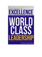 The Path To Excellence World Class Leadership