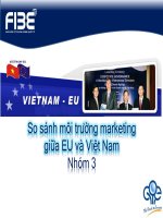 So sánh môi trường marketing của Việt Nam và EU