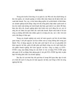 kế toán nguyên vật liệu của Công ty Dệt vải công nghiệp Hà Nội