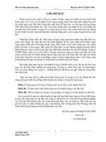 Tổ chức thực hiện kiểm toán tại chi nhánh công ty tại Hà Nội