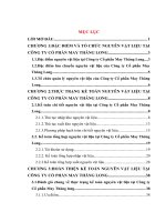 Hoàn thiện kế toán nguyên vật liệu tại Công ty Cổ phần May Thăng Long