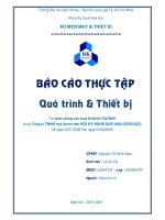 Quá trình và thiết bị phân xưởng sản xuất Acetylen Gia Định - P1