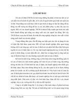 Hoàn thiên công tác kế toán tài sản cố định tại Công ty cổ phần Sông Đà 11