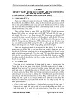 Chíên lược kinh doanh của các công ty xuyên quốc gia nước ngoài tại thị trường Việt Nam