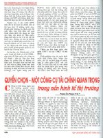 Rủi ro tín dụng tại một số ngân hàng ở Việt Nam.pdf
