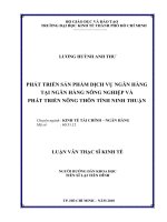 Phát triển sản phẩm dịch vụ ngân hàng tại Ngân hàng NNo&PTNT Ninh Thuận