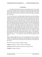 Tình hình tổ chức bộ máy kế toán và công tác kế toán