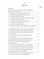 Biện pháp nâng cao hiệu quả hoạt động của ngân hàng thương mại trong xu thế hội nhập trên địa bàn thành phố Cần Thơ