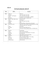 Tài liệu Giáo án môn Tiếng Việt tuần  28