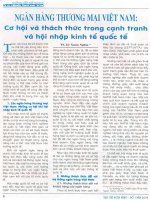 Ngân hàng thương mại Việt Nam .pdf