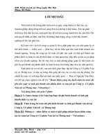 Hoàn thiện công tác hạch toán kế toán CPSX và tính GTSP dịch vụ vận tải tại Cty Cổ phần Vận tải và TM - Vitranimex