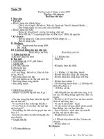 Giáo án Tiếng việt - Lớp 3 - Tuần 29